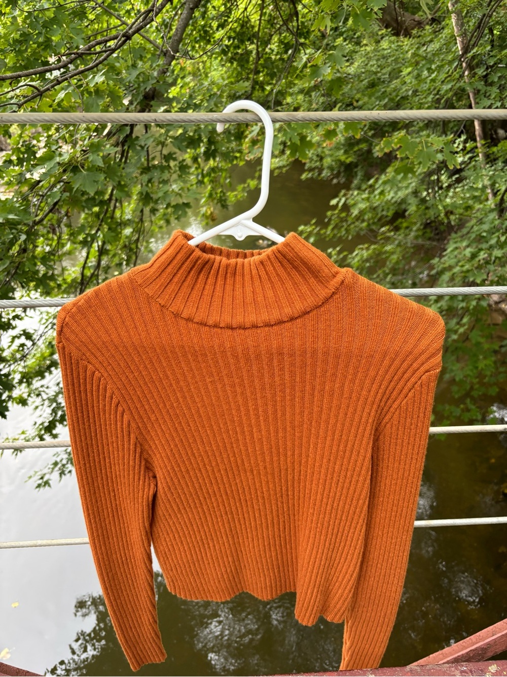 Levi’s Cropped Ribbed Turtleneck Sweater - Burnt Orange